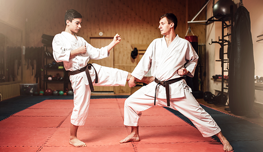 Family Martial Arts at Home