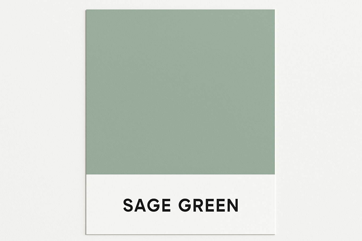 sage green color swatch