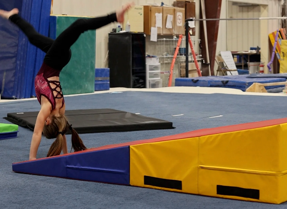Which Cheese Wedge Incline Mat Is Right For Me?